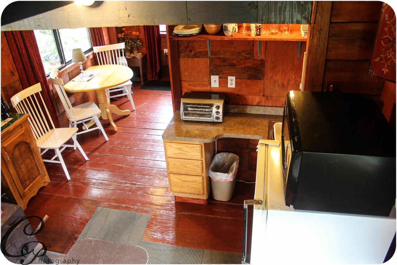 Cottonwood Cabins Fritz Creek Exterior foto